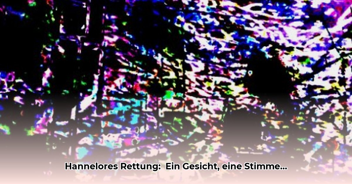 wir-kennen-deine-stimme-wir-kennen-dein-gesicht